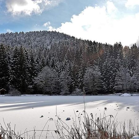 Le Petit Vosgien Apartment Gerardmer Bagian luar foto