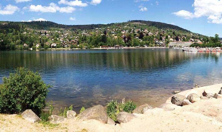 Le Petit Vosgien Apartment Gerardmer Bagian luar foto