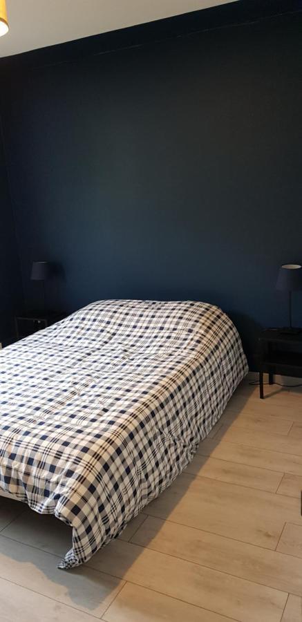 Le Petit Vosgien Apartment Gerardmer Bagian luar foto