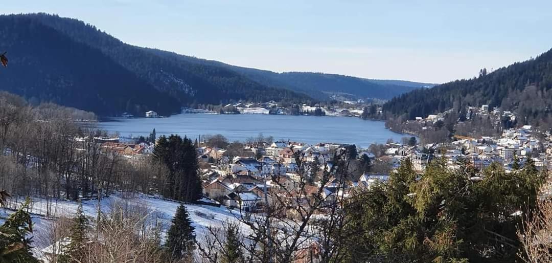 Le Petit Vosgien Apartment Gerardmer Bagian luar foto